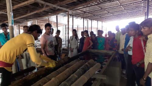 HSC Voc Visit to Konkan Bamboo and Cane Development Centre , MIDC Kudal